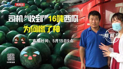 今日吃瓜完整版免费,完整版免费放送，热点追踪不容错过