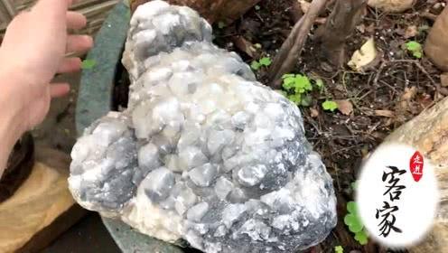 有点料官网,解锁生活新趣味