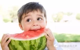 热门大瓜每日必吃大瓜 瓜在体育圈是什么意思,揭秘每日必吃的体育圈独家资讯