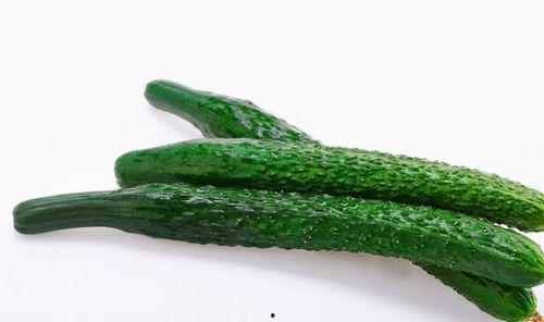 瓜在体育圈是什么意思 51热门大瓜今日大瓜,51热门大瓜今日大瓜盘点