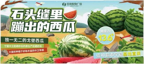 51今日吃瓜 热门大瓜有哪些,盘点热门大瓜，揭秘娱乐圈最新动态