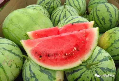 今日吃瓜,揭秘娱乐圈最新热点事件