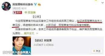 黑料网站永久免费看视频,永久免费畅享视频的奥秘